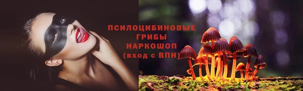MDMA Premium VHQ Бугульма