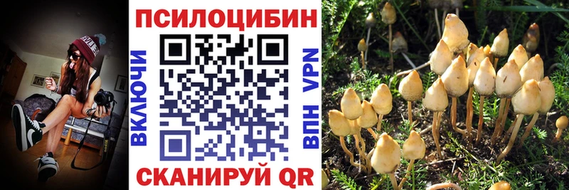 Псилоцибиновые грибы GOLDEN TEACHER  Ува 